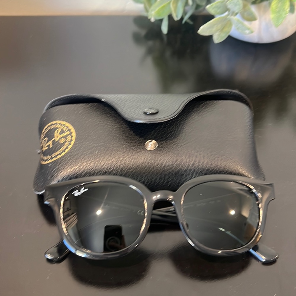 Ray ban 4324